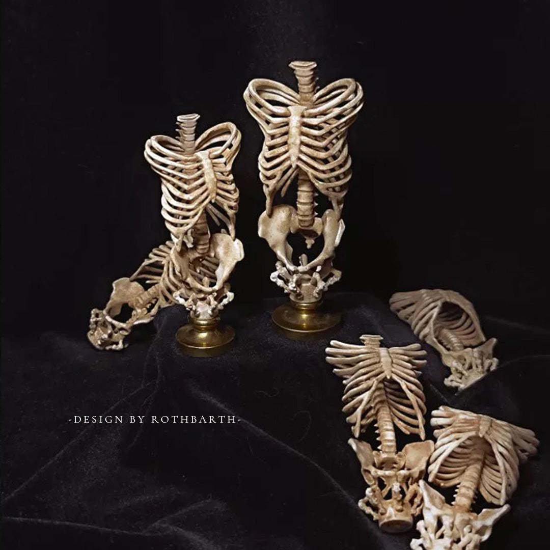 Butterfly Rib Wax Seal Handle-Bone