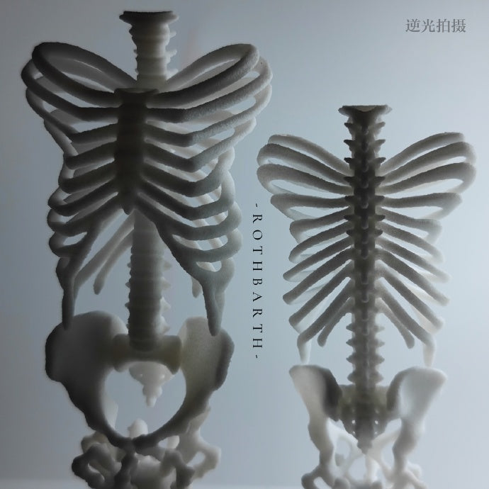 Butterfly Rib Wax Seal Handle-WHITE/BLACK