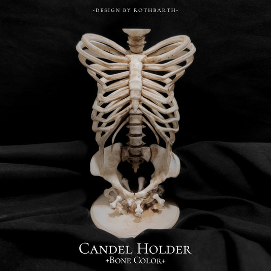 Butterfly Rib Candle Holder-Bone